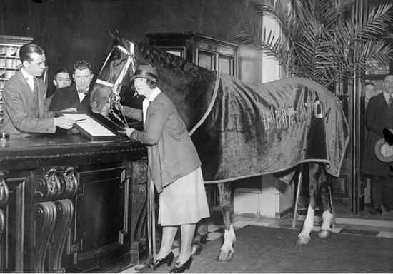 Boston Horse in Hotel Lobby