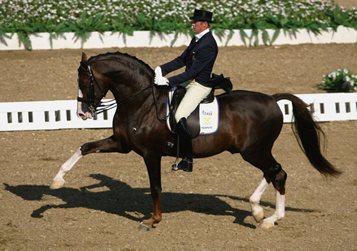 Olympic dressage team Olympic dressage team
