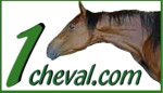 One cheval