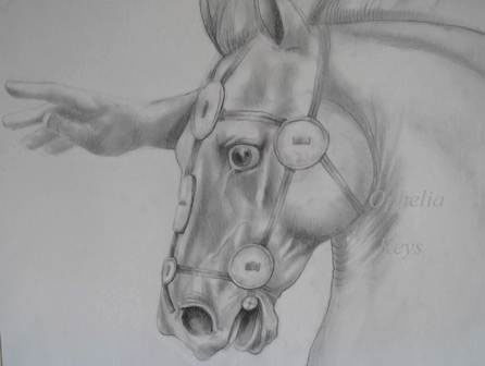 Ophelia Keys Horse