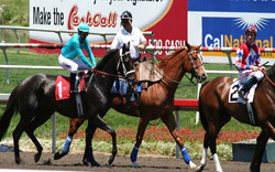 Racetrack Outrider Racetrack Outrider