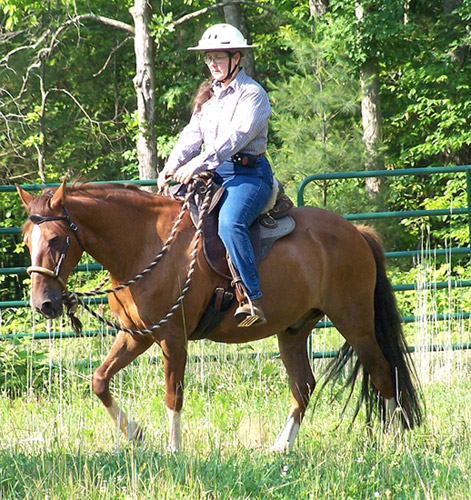 Pamela hackamore riding Pamela hackamore riding
