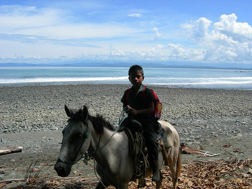 Horse and Guaymi native boy Horse in Panama
