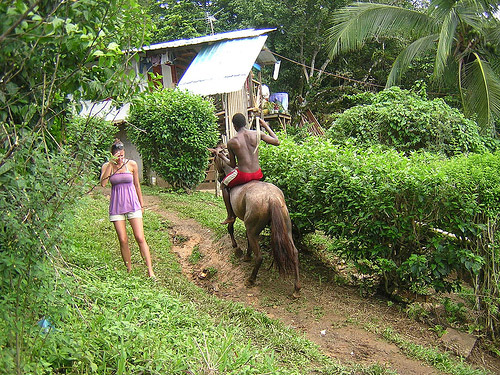 Horse in Panama Horse in Panama
