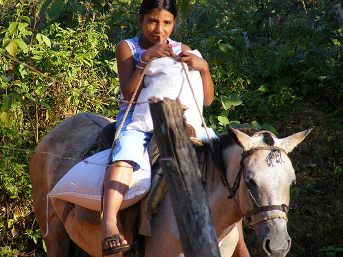 Girl Carrying Rice on a Horse in Panama Horse in Panama