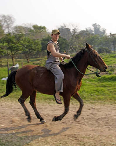 Horses in Paraguay Horses in Paraguay