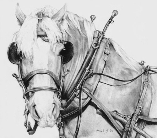 Wagon Horse, horse artwork
