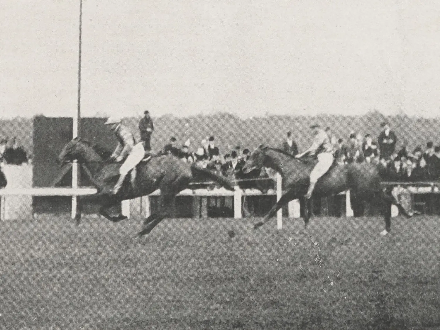 Horses running on a racetrack