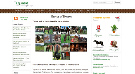 Horse Photos Screenshot
