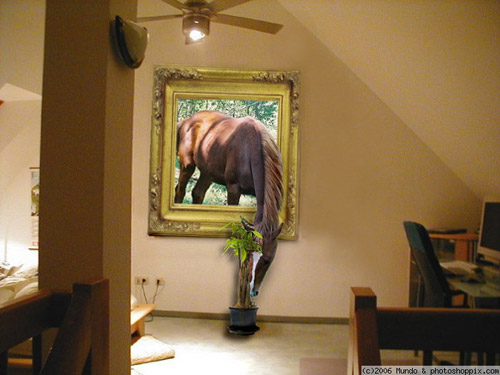 Horse in Living Room Photoshop Image