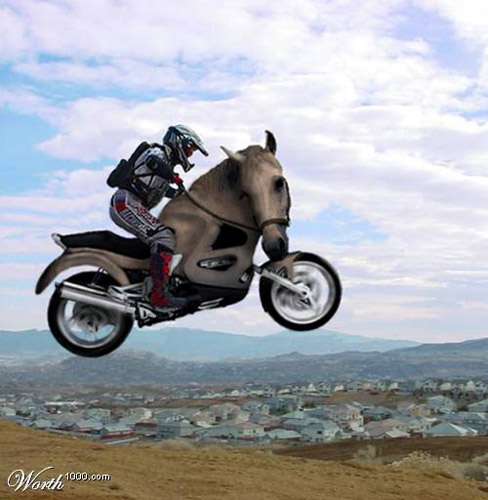 Horse Bike Photoshop image