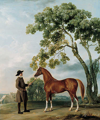 Lord Grosvenor's Arabian Stallion with Groom -  George Stubbs