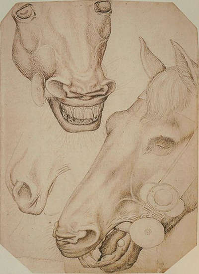 Pisanello Horse Sketch