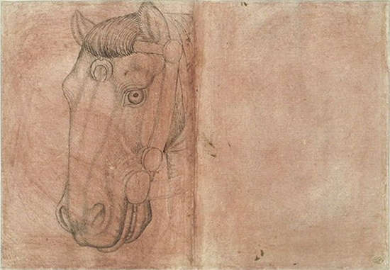 Pisanello Horse Sketch