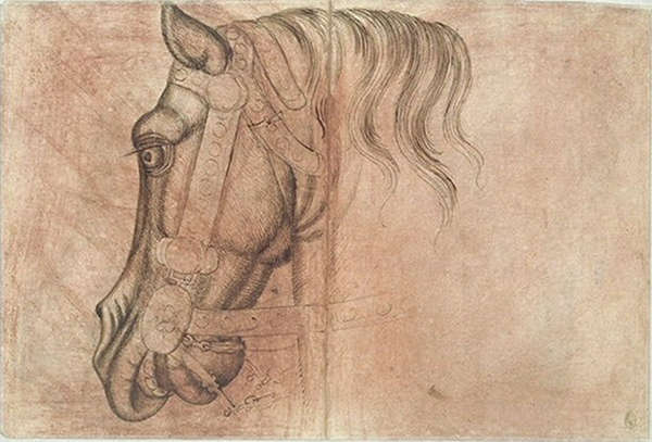 Pisanello Horse Sketch
