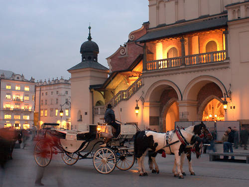 Horse in Poland Horse in Poland
