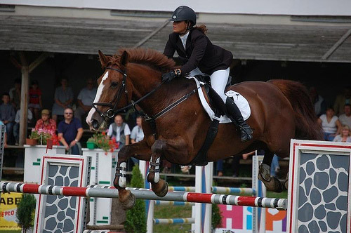 Horse show jumping in Poland Horse show jumping in Poland
