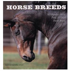 65 Popular Horse, Pony & Draft Horse Breeds
