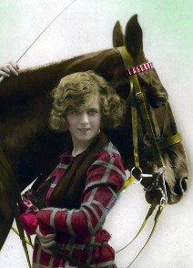 Horse Postcard