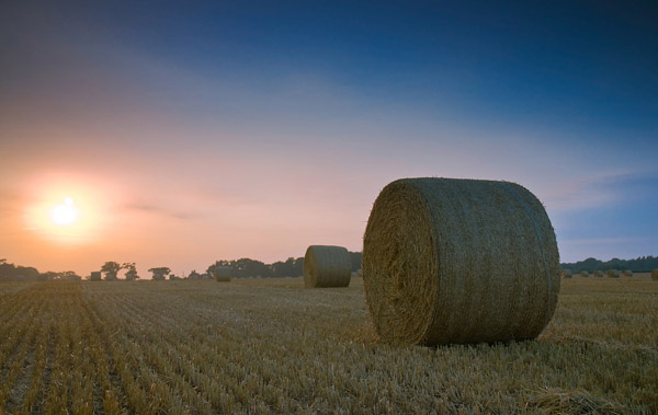 Hay Bales Hay Bales