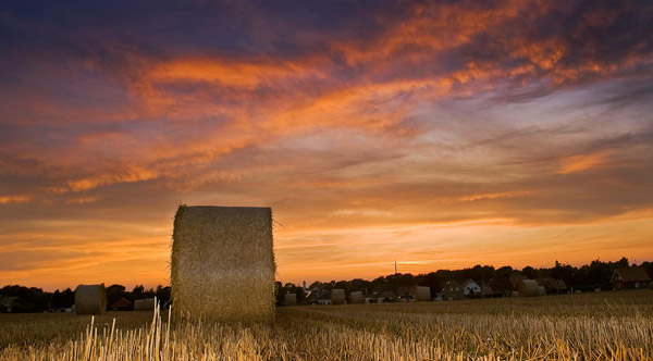 Hay Bale Hay Bale