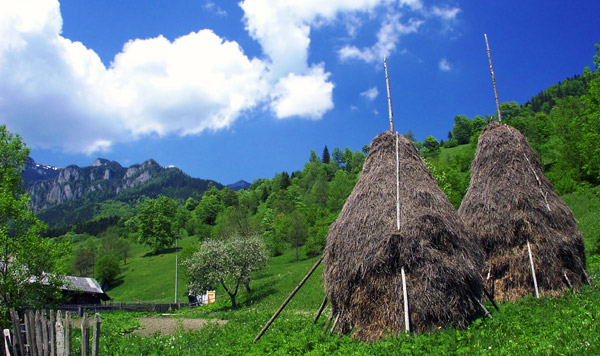 Hay Mounds