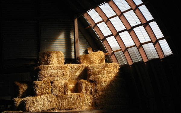 Hay Bales Hay Bales