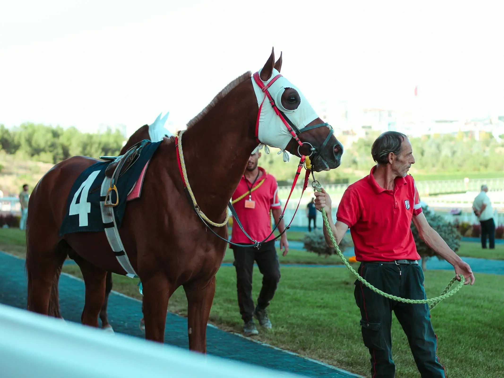Man walking a horse