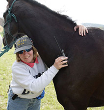 Racetrack Vet