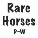Rare Horses P-W