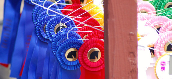 Ribbons Ribbons
