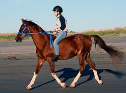Riding Bareback