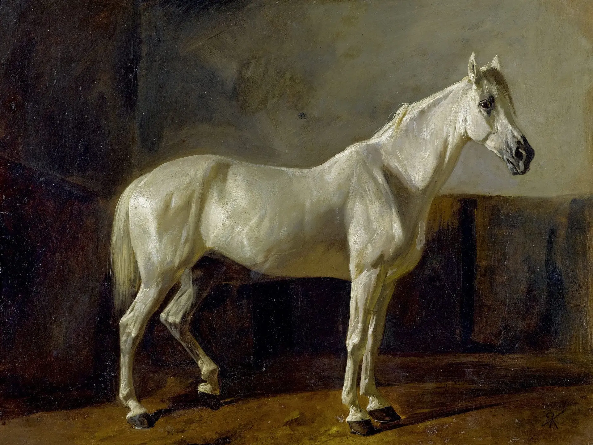 Standing White Horse