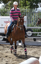 Schooling rider on a horse