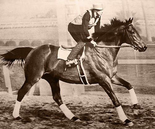 Seabiscuit Running