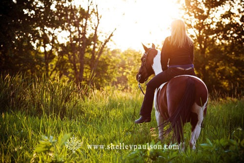 Shelly Paulson Horse