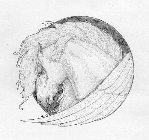Pegasus - Heady Study, horse artwork