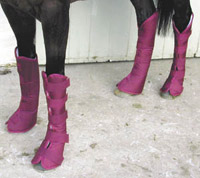 Shipping Boots Shipping Boots