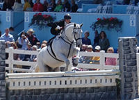 Jumping Sidesaddle Jumping Sidesaddle