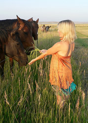 Horse Sitter