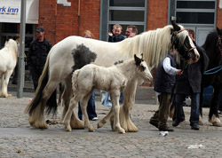 Smithfield Horse Market