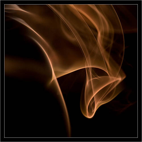 Smoke Horse Smoke Horse