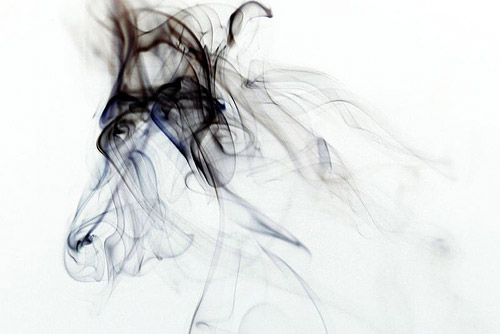 Smoke Horse Smoke Horse