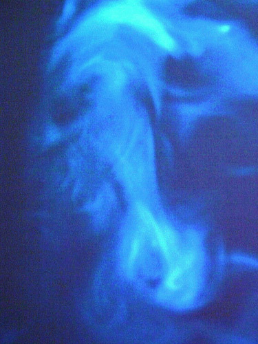 Smoke Horse Smoke Horse