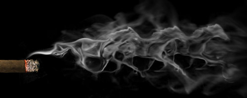 Smoke Horse Smoke Horse