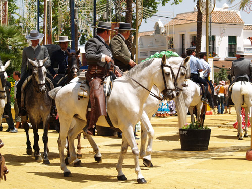 Spanish Horses and riders