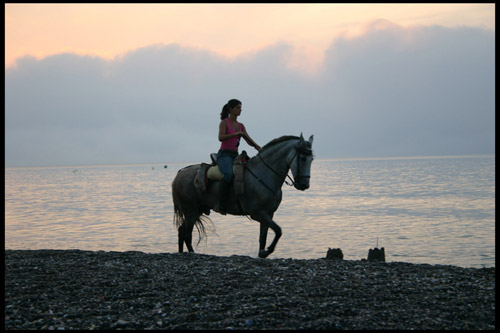 Woman riding a horse on the beach at sunset