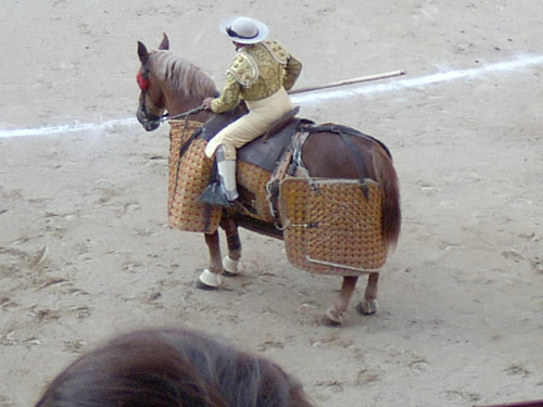 Horse and rider in a bullring