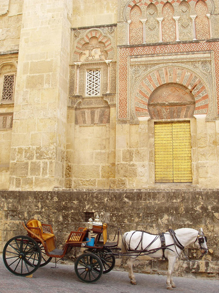 Your Chariot Awaits... Horse and wagon waiting outside beautiful building