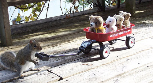 Squirrel Pulling Wagon